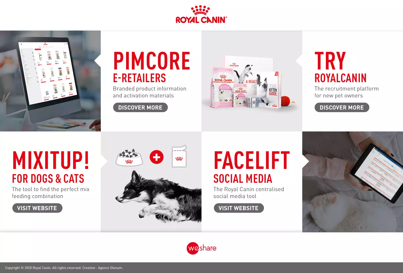 Royal Canin – digital
